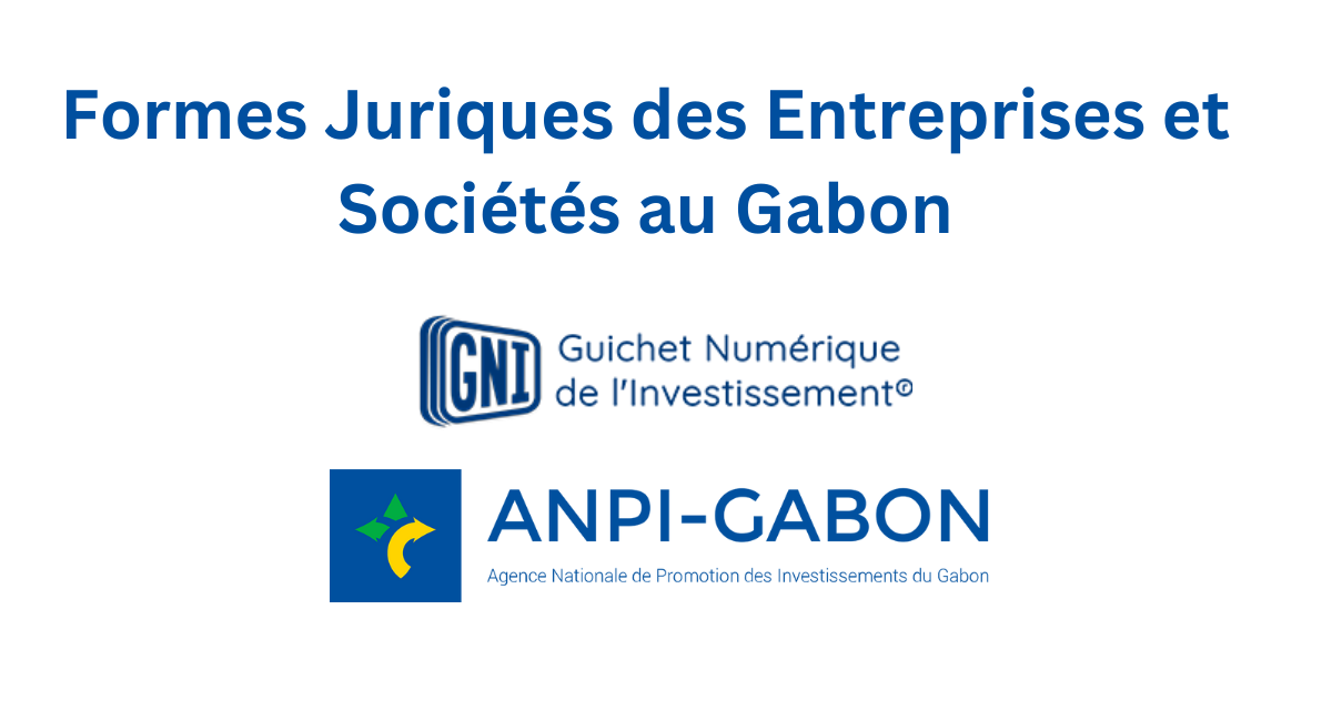 You are currently viewing Guide complet sur les Formes Juridiques d’Entreprise au Gabon : Tout ce que vous devez savoir